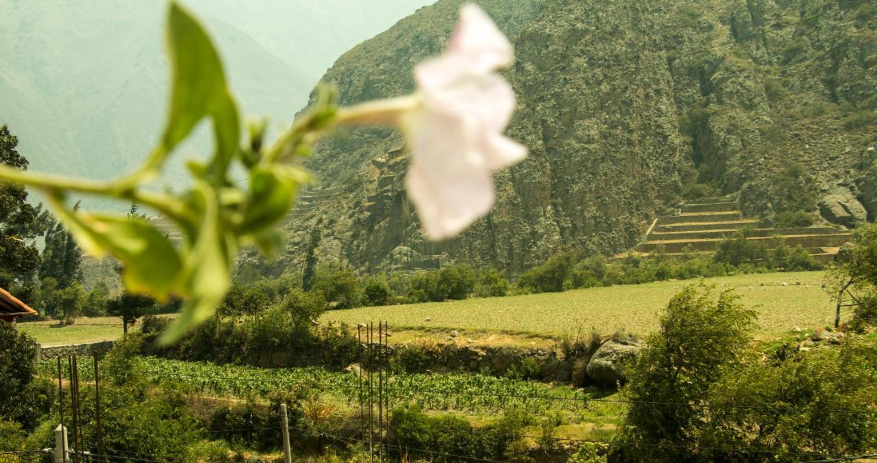 Inka Khawarina Tambo Lodge Ollantaytambo Εξωτερικό φωτογραφία